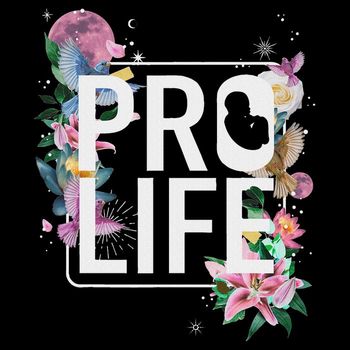 Pro Life Prolife Pro God Choose Life Conservative Christian Flatbill Hat