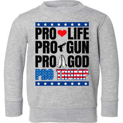 Pro Life Pro Gun Pro God Pro Trump Toddler Sweatshirt