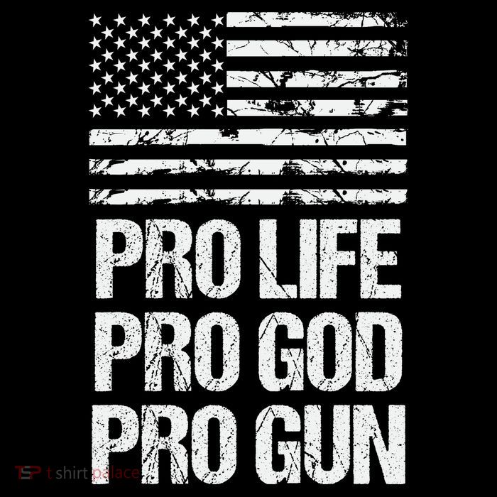 Pro Life Pro God Pro Gun Christian Conservative T-Shirt