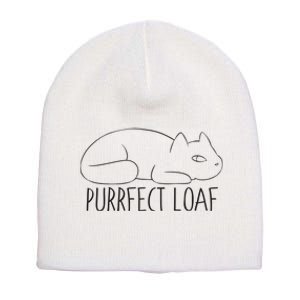 Purrfect Loaf Short Acrylic Beanie