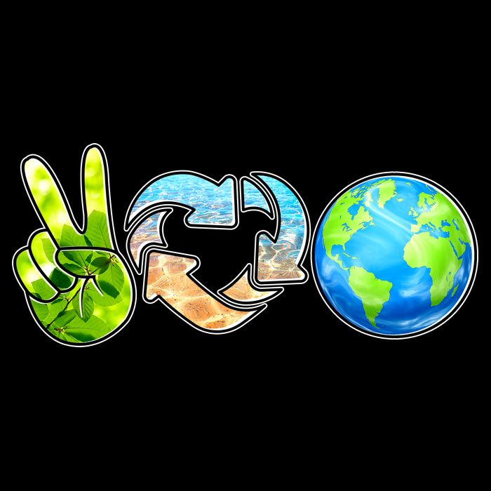 Peace Love Recycle Earth Celebrate Earth Day Everyday Poster