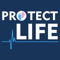 Protect Life Ribbon Pregnancy Infant Loss Awareness Stop Abortion Beanie