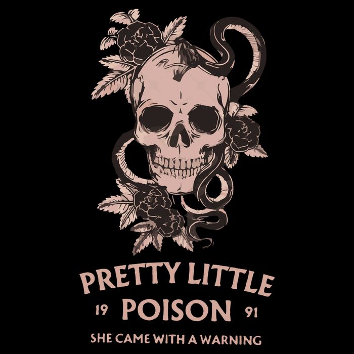Pretty Little She Came With A Warning Country Song 16 in Basic Backpack