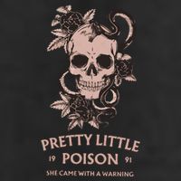 Pretty Little She Came With A Warning Country Song Large Microfiber Waffle Golf Towel