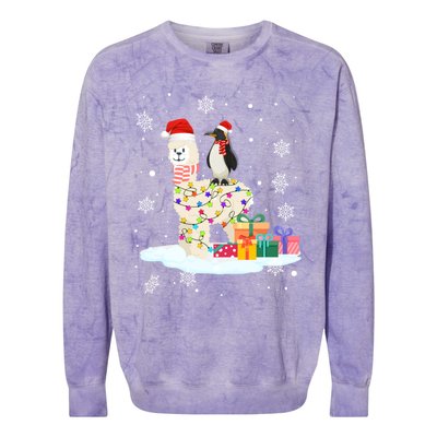 Penguins Lover Xmas Lighting Penguin Riding Llama Christmas Cool Gift Colorblast Crewneck Sweatshirt