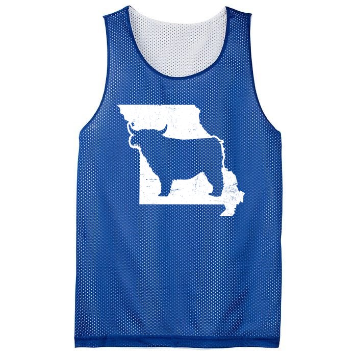 Patriotic Missouri 4th July Design Highland Cow Gift Mesh Reversible Basketball Jersey Tank