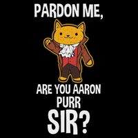Pardon Me Are You Aaron Purr Sir Flat Bill Trucker Hat