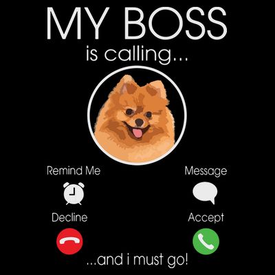 Pomeranian My Boss T-Shirt