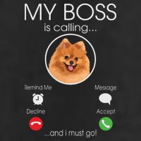 Pomeranian My Boss Golf Towel