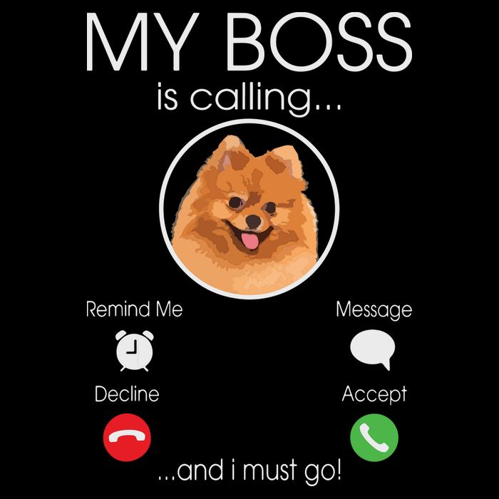 Pomeranian My Boss Visor
