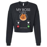 Pomeranian My Boss Cropped Pullover Crew