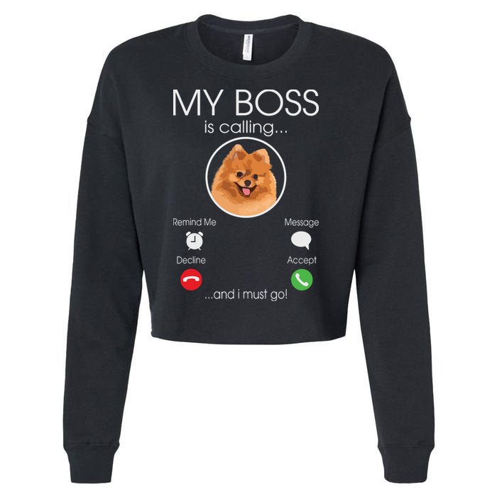 Pomeranian My Boss Cropped Pullover Crew