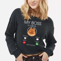 Pomeranian My Boss Cropped Pullover Crew