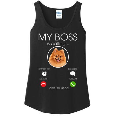 Pomeranian My Boss Ladies Essential Tank