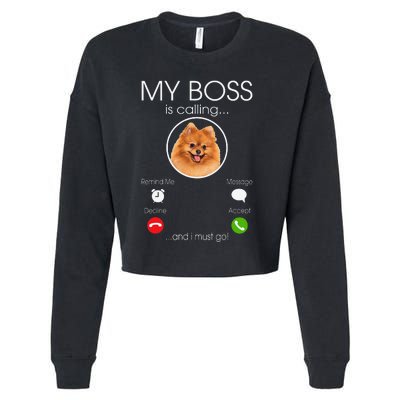 Pomeranian My Boss Cropped Pullover Crew