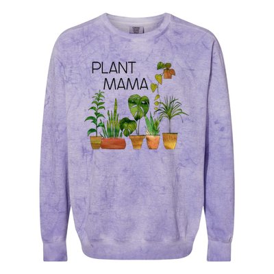 Plant Mama Crazy Plant Lady Monstera Mom Colorblast Crewneck Sweatshirt