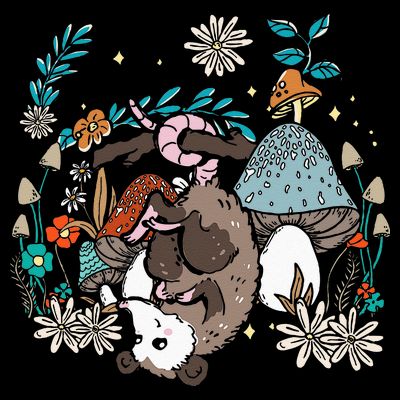 Possum Mushroom Cottagecore Aesthetic Opossum Whisperer T-Shirt