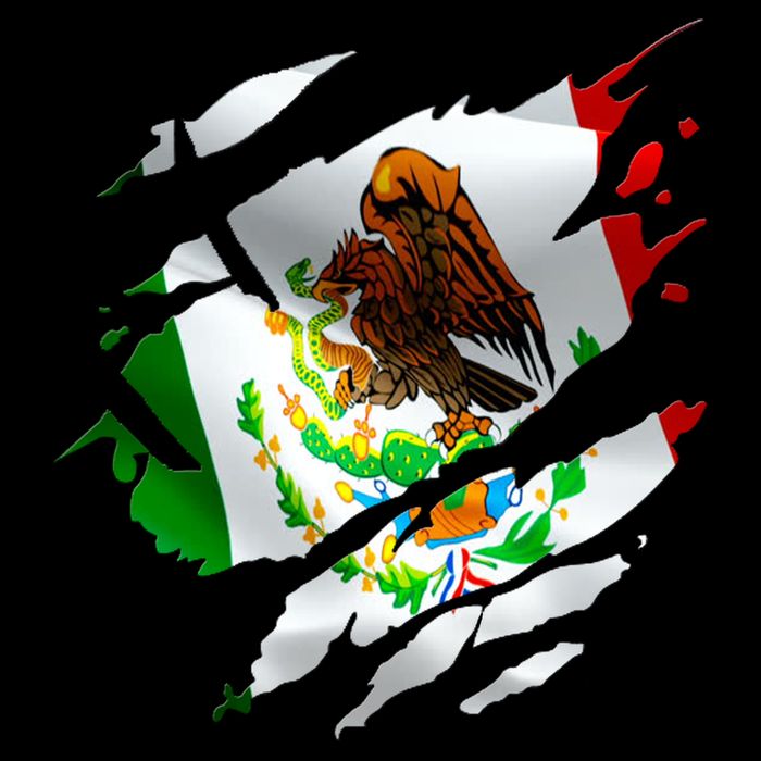 Proud Mexican Chicano Latino Torn Ripped Mexico Flag 7-Panel Snapback Hat