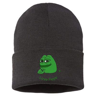 Pepe Meme Coin Crypto Coin Love Pepe Sustainable Knit Beanie
