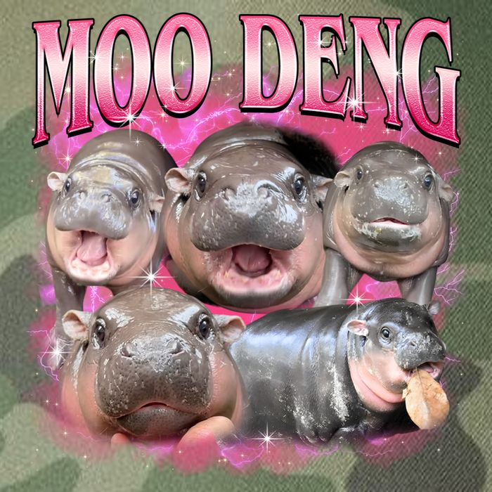 Pink Moo Deng Meme Hippo Funny Legacy Tie Dye Trucker Hat