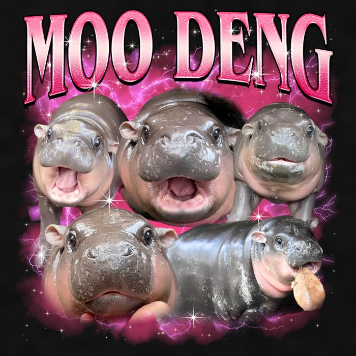 Pink Moo Deng Meme Hippo Funny Ladies PosiCharge Tri-Blend Wicking Tank