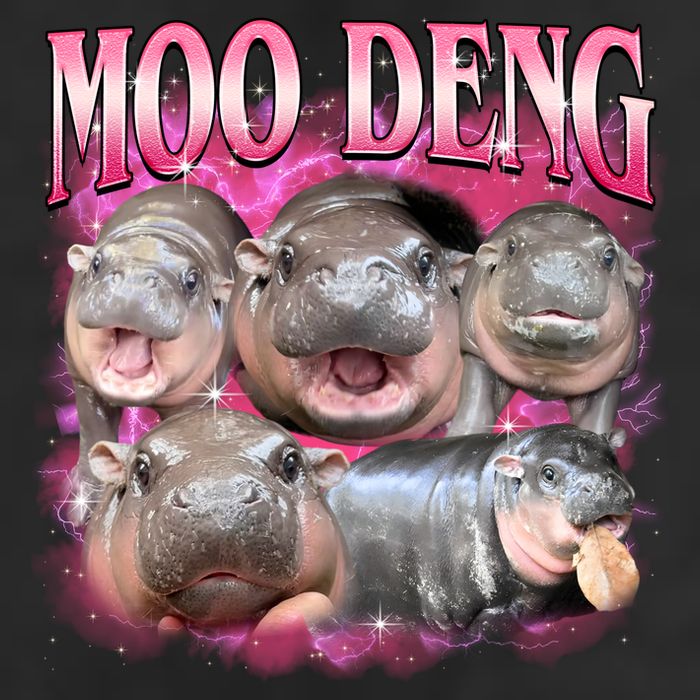 Pink Moo Deng Meme Hippo Funny 7 Panel Mesh Trucker Snapback Hat