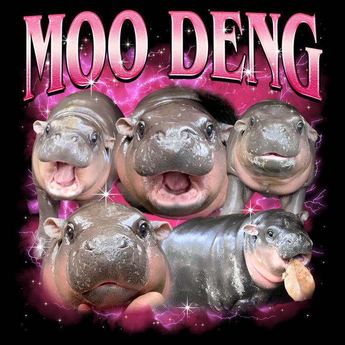 Pink Moo Deng Meme Hippo Funny Backpack