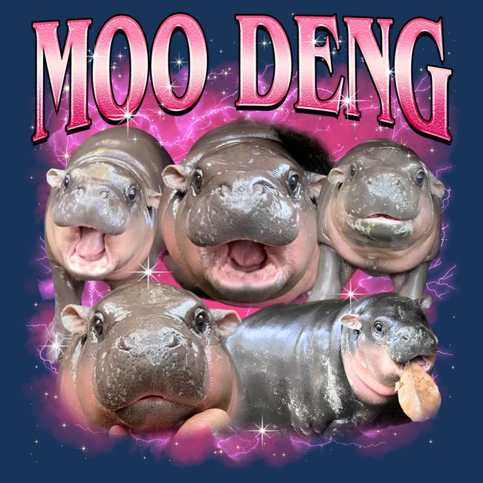 Pink Moo Deng Meme Hippo Funny Infant Baby Jersey Bodysuit