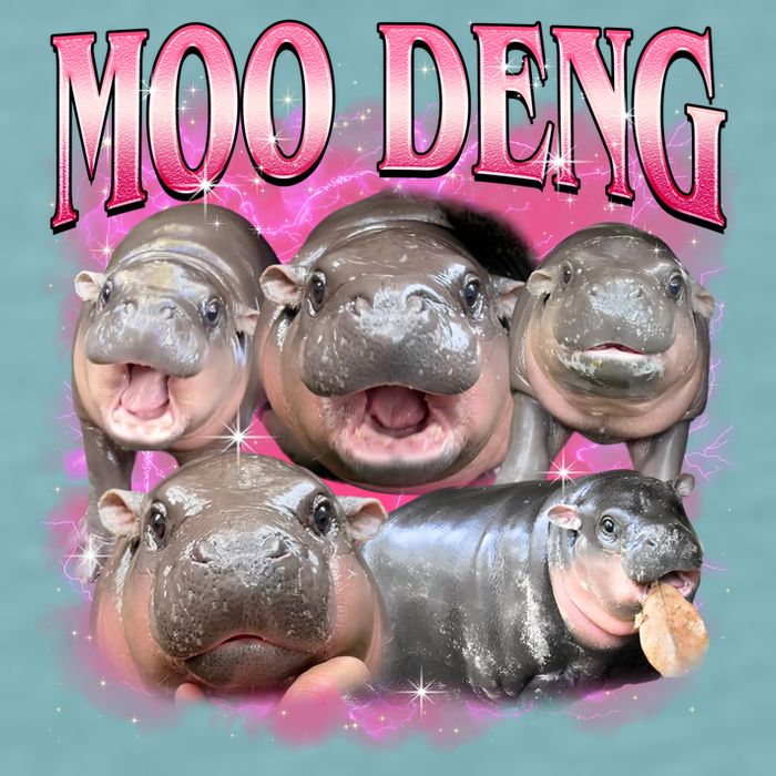 Pink Moo Deng Meme Hippo Funny Sueded Cloud Jersey T-Shirt