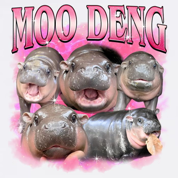 Pink Moo Deng Meme Hippo Funny Toddler T-Shirt
