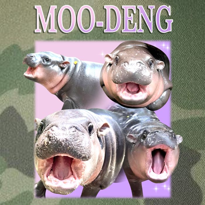 Purple Moo Deng Meme Hippo Funny Legacy Tie Dye Trucker Hat