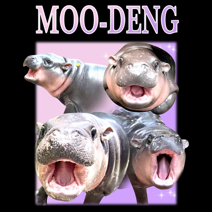 Purple Moo Deng Meme Hippo Funny 7-Panel Snapback Hat