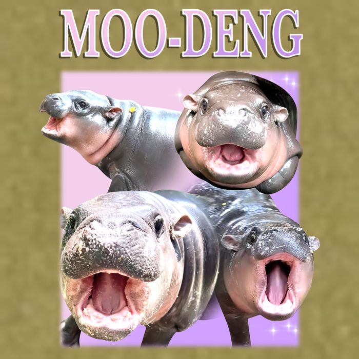 Purple Moo Deng Meme Hippo Funny Garment-Dyed Women's Muscle Tee