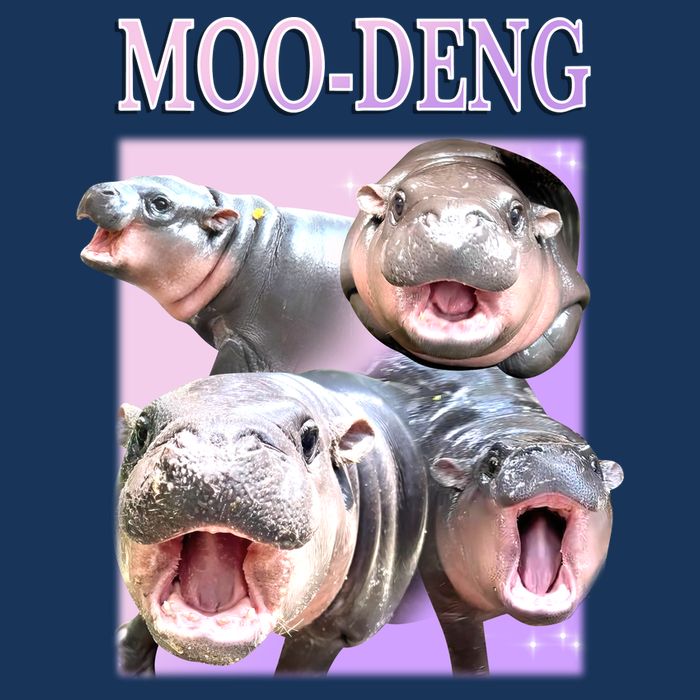 Purple Moo Deng Meme Hippo Funny Infant Baby Jersey Bodysuit