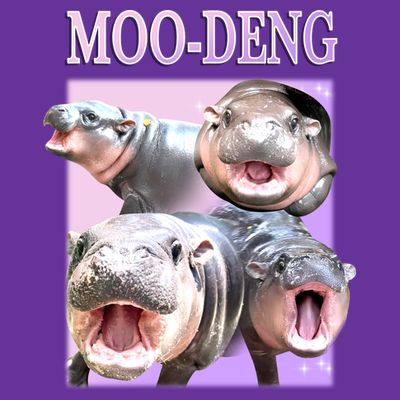 Purple Moo Deng Meme Hippo Funny T-Shirt