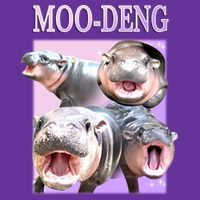 Purple Moo Deng Meme Hippo Funny Coaster