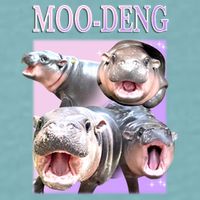 Purple Moo Deng Meme Hippo Funny Sueded Cloud Jersey T-Shirt