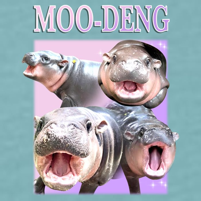 Purple Moo Deng Meme Hippo Funny Sueded Cloud Jersey T-Shirt
