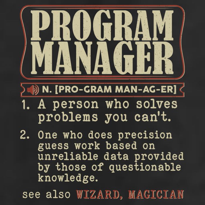 Program Manager Definition Adult Drive Performance Visor