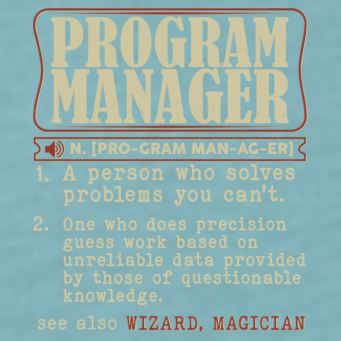 Program Manager Definition Sueded Cloud Jersey T-Shirt