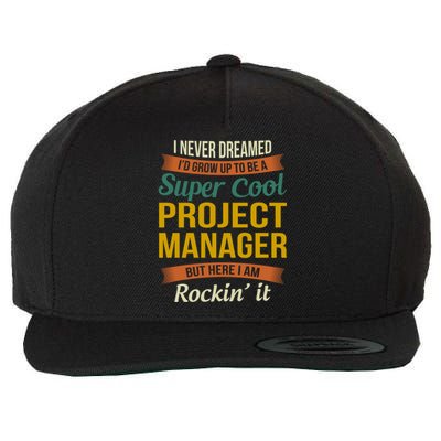 Project Manager Gift Funny Appreciation Gift Wool Snapback Cap