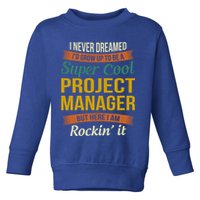 Project Manager Gift Funny Appreciation Gift Toddler Sweatshirt