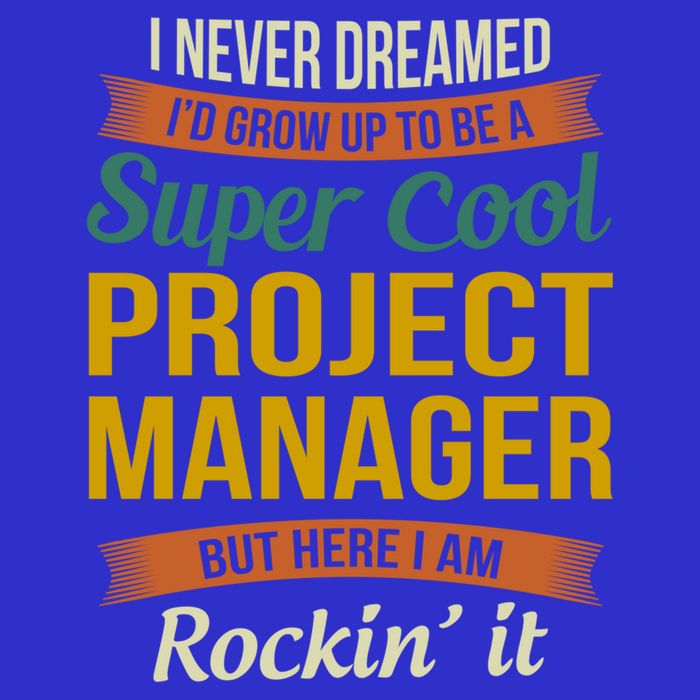 Project Manager Gift Funny Appreciation Gift Toddler Sweatshirt