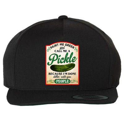Paint Me Green And Call Me A Pickle Funny Wool Snapback Cap