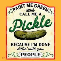 Paint Me Green And Call Me A Pickle Pom Pom 12in Knit Beanie