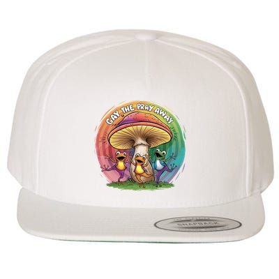 Pride Month Gay The Pray Away Lgbt Pride Month Wool Snapback Cap