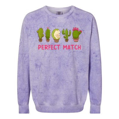 Perfect Match Hedgehog And Cactus Valentine's Day Gift Colorblast Crewneck Sweatshirt