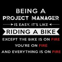 Project Manager Is Easy Funny Humor 16 in Basic Backpack