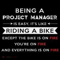 Project Manager Is Easy Funny Humor Poster