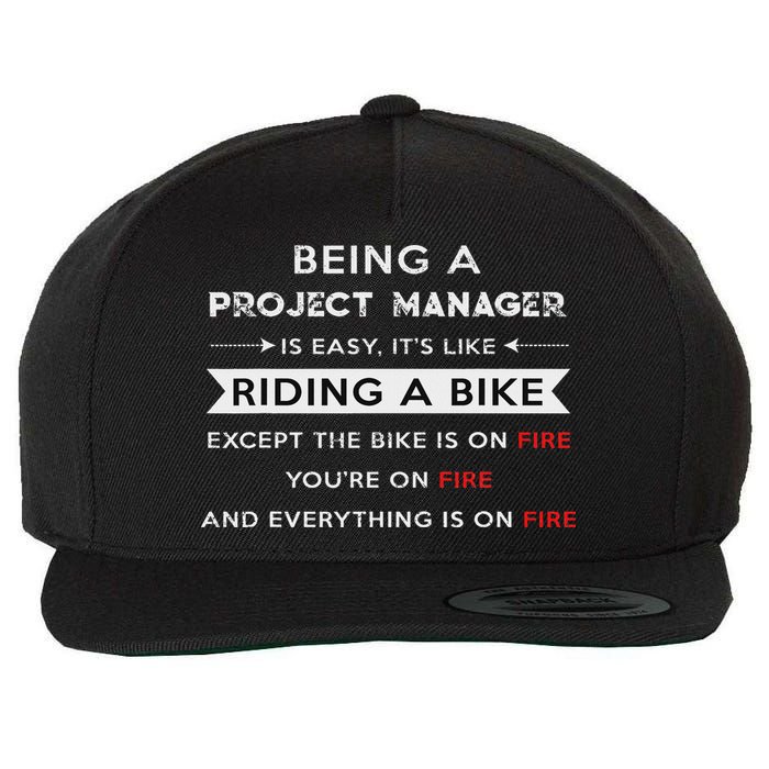 Project Manager Is Easy Funny Humor Wool Snapback Cap